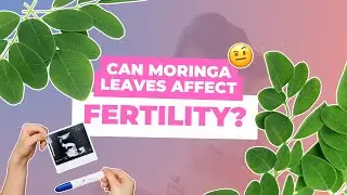 Can moringa leaves prevent pregnancy or make you infertile, or does it help fertility?