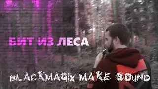 БИТ ИЗ ЗВУКОВ ЛЕСА В FL STUDIO 20 | BLACKMAGIX ЗАТРЭПИЛ ЛЕС