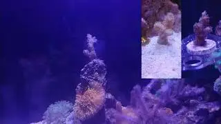 Rico's Nano Challenge 2018