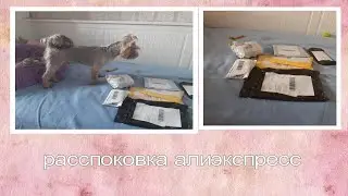 Распаковка канцелярии акриловая панель.