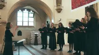 Von meiner Jugend an bekämpfen mich viele Leidenschaften|От юности моея мнози борют мя страсти