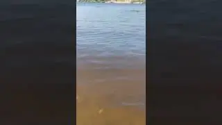 1 июня 2024 г.