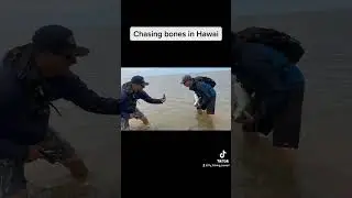 Chasing Bonefish on the Molokai