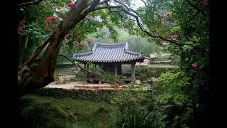 musica coreana
