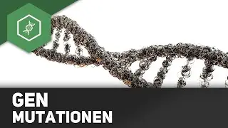 Genmutationen - Rastermutationen (Insertion, Deletion)