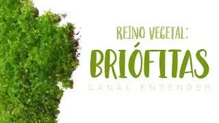 BRIÓFITAS - Reino Vegetal