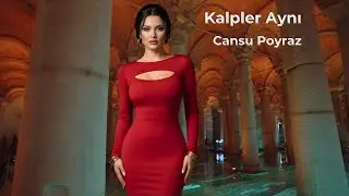 Cansu Poyraz - Sensiz Hayat Yok