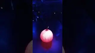 Сердце дракона! Сделай это в новый год и год дракона удастся! )