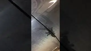 Охранный комплекс