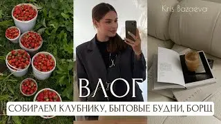 СОБИРАЕМ КЛУБНИКУ, БЫТОВЫЕ ДЕЛА, БОРЩ, РАЗНИЦА ПОКОЛЕНИЙ, ЕДЕМ В ГОСТИ