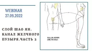 ВЕБИНАР СЛОЙ ШАО ЯН. КАНАЛ ЖЕЛЧНОГО ПУЗЫРЯ. ВЕБИНАР 2. КИТАЙСКАЯ МЕДИЦИНА.