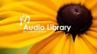 Sunny Morning Music - Relaxing, Peaceful, Smooth Music - No Copyright Music