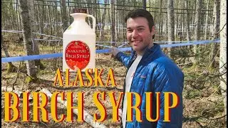Birch Syrup: hack your health (and breakfast) with this tasty Alaska treat!