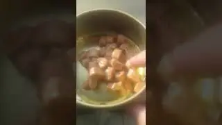 Фрискес отличный корм !