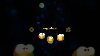The Minions Are A Virus! #despicableme #minions #despicableme4 #movie #animation