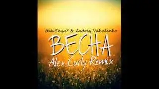 БэбиSкул? & Andrey Vakulenko -- Весна (Alex Curly Remix)