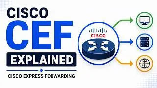 Understanding Cisco Express Forwarding (CEF) & its role in networking | ENCOR 350 -401 | PyNet Labs