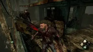 Bullying a Baby Wraith (Dead by Daylight)
