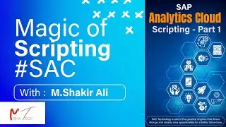 SAP Analytics Cloud(SAC) Application Scripting Basics - Live Demo - Part 1 2024