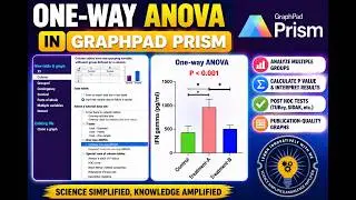 One way ANOVA  