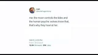 da truth about the moon 🐺