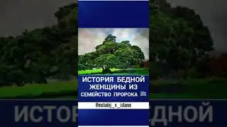 ИСТОРИЯ БЕДНОЙ ЖЕНЩИНЫ ИЗ СЕМЕЙСТВА ПРОРОКА МИР ЕМУ И БЛАГОСЛОВЕНИЕ АЛЛАХА