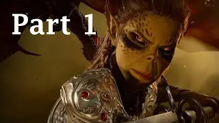 Baldur's Gate 3 The Good Paladin Walkthrough Part 1: Infected