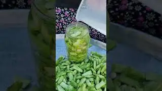 Fasulye konserve