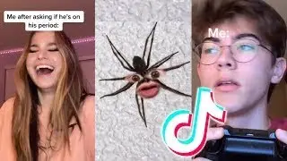 Funny tik tok memes that make you laugh)))