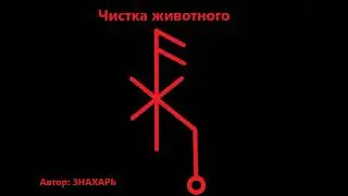 ЧИСТКА ЖИВОТНОГО *207