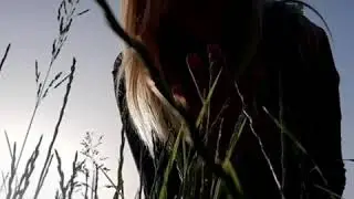 Жизнь прекрасна