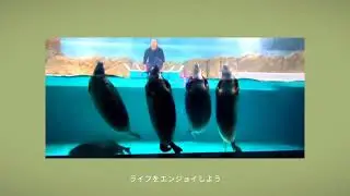 #short Fish kissing Рыбы целуются