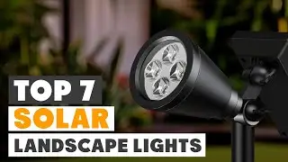 Top 7 Solar Lights for Your Landscape in 2024