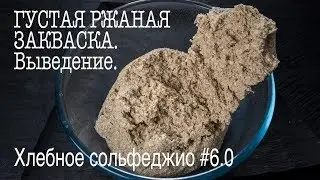 Хлебное сольфеджио #6.0. Густая ржаная закваска.