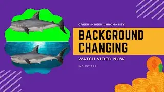 How to change video Background in inshot app for YouTube | Green screen Chroma key