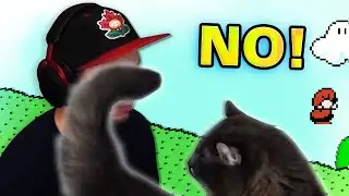 My Cat SABOTAGED My Run