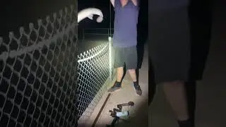 ⁠Bowfishing for gar with @Dymhz #shorts #shortsvideo #bowfishing