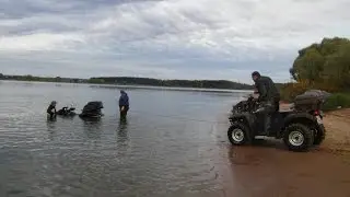 Грибочки