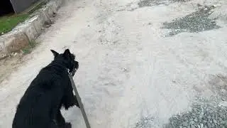 Урал понимается в августе