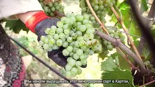Хихви-деревня Сагурамо