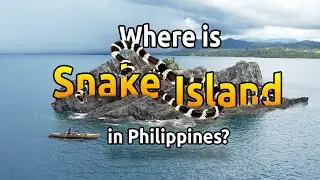 The Most Dangerous Island in the Philippines | Snake Island