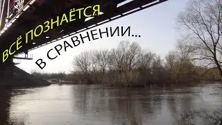 Половодье 2024:  02. 04