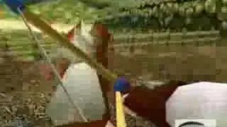 Halo CE- Hyrulefield Fun