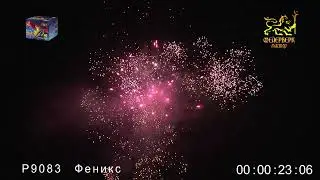 Р9083 Феникс 1х49