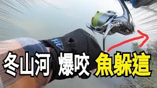 冬山河爆咬  原來魚愛躲這   #珍珠石斑