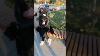 Маффин греется на солнышке