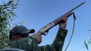 Выстрел - Bernardelli Levriero