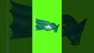 Green Screen Macau Flag || Macau Flag Animation  #viral #chromakey #animation #video #flag #reels