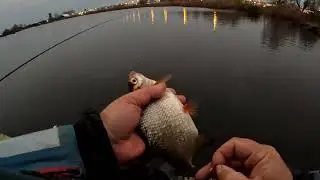 Мороз и снег не повод не ловить на попловок,  если кольца замерзают берём мах,  отчёт №277