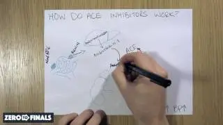 How do ACE inhibitors work?
